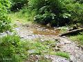 Le ruisseau oriental de l'Avuxon, branche principale du ruisseau de Chaudefontaine, naissant au coeur de la forêt de Longegoutte